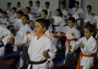 karate (44) (Αντιγραφή)